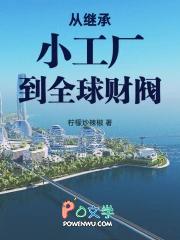 从继承小工厂到全球财阀