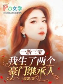 一胎三宝：我生了两个豪门继承人